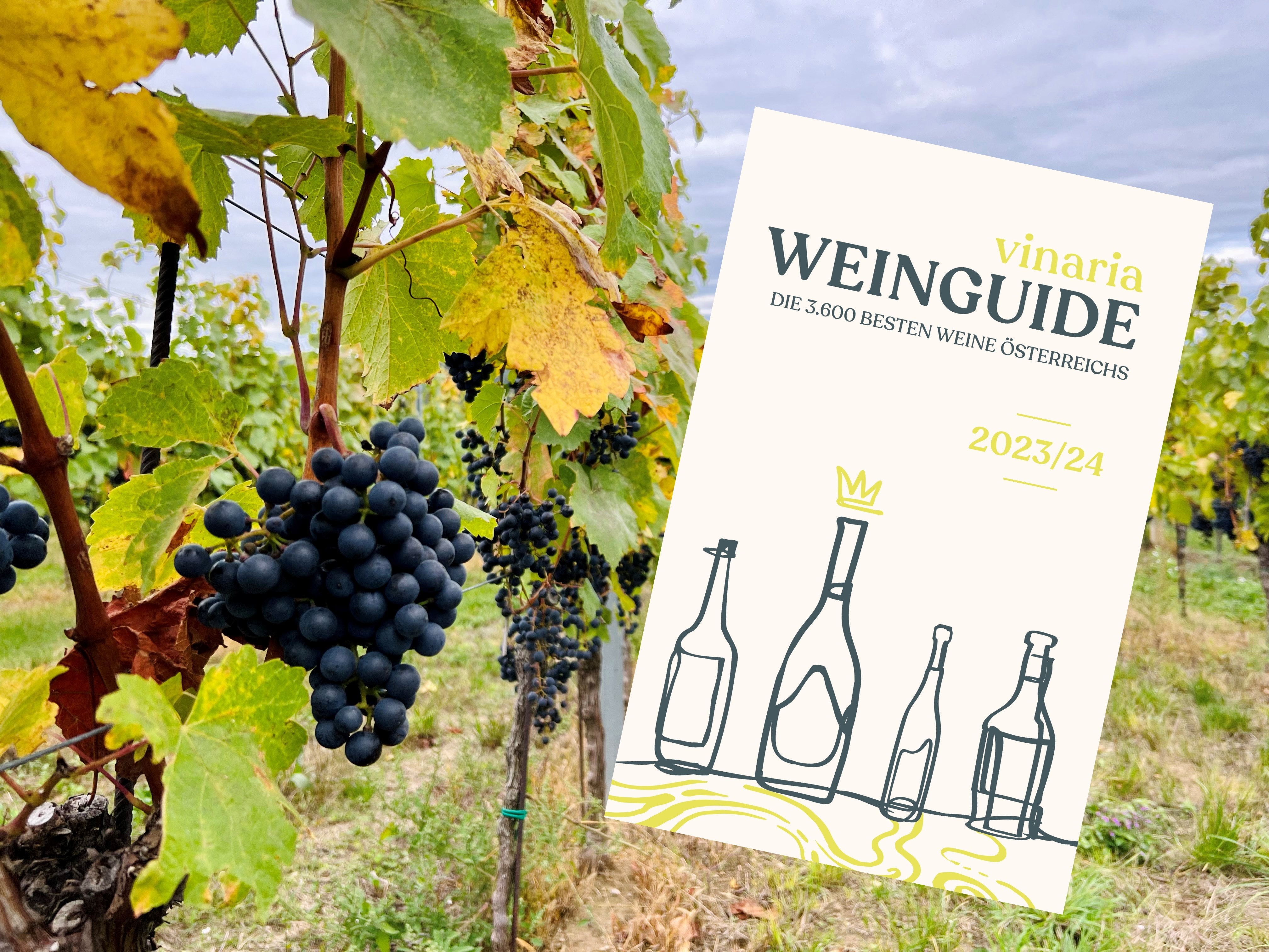 Vinaria Weinguide 2023/24 Sterne sammeln kann zur Leidenschaft werden