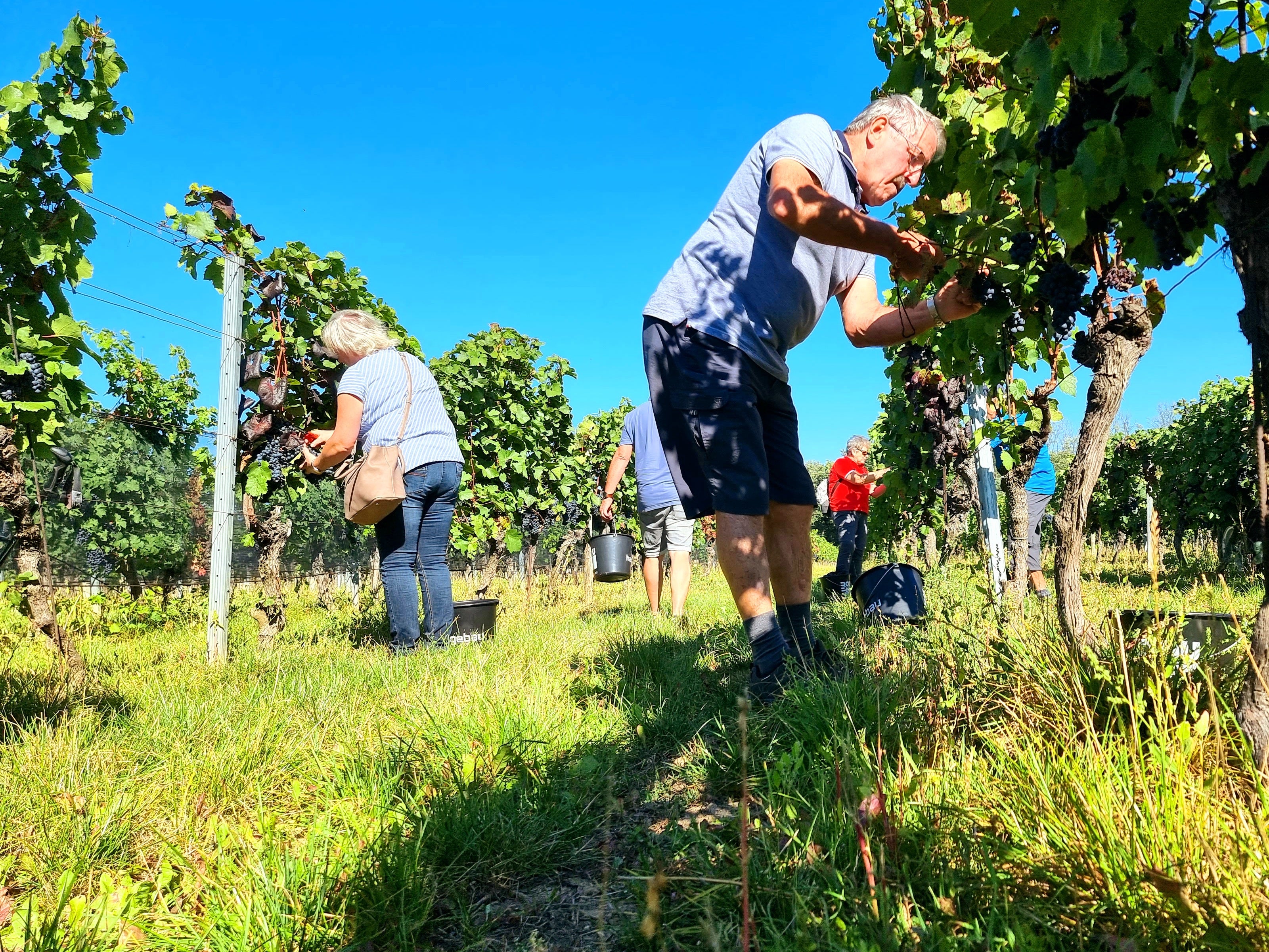 Building a strong team - unser Team-Event