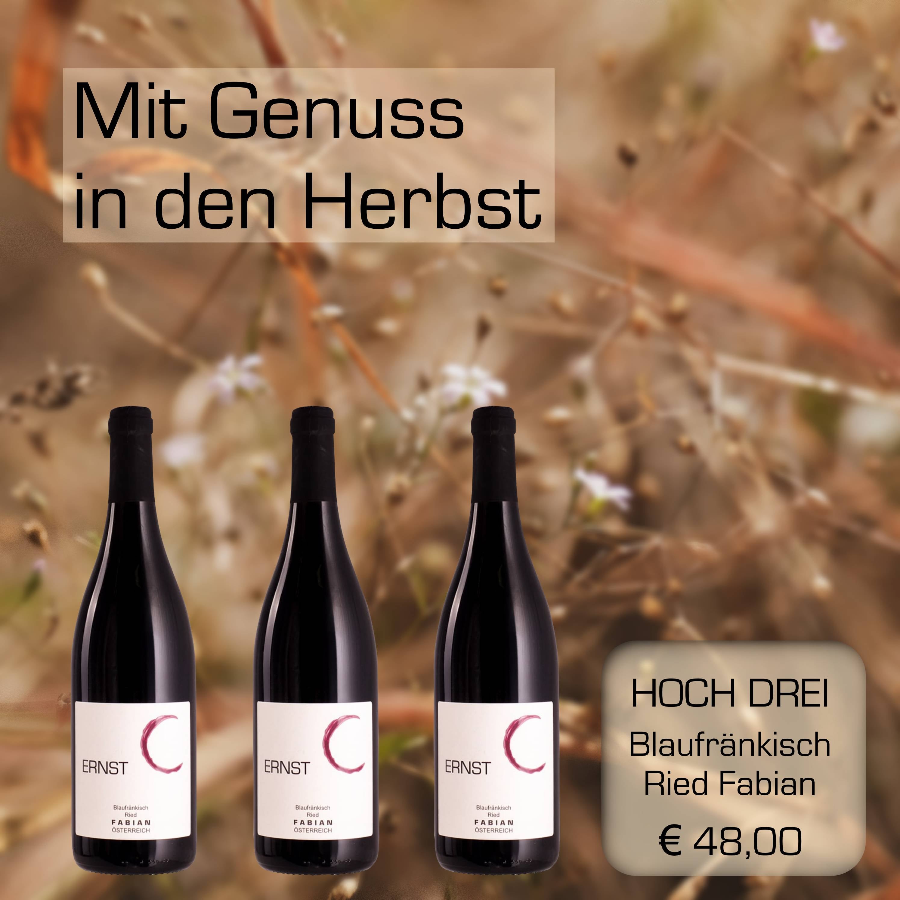 HOCH DREI Blaufränkisch Fabian