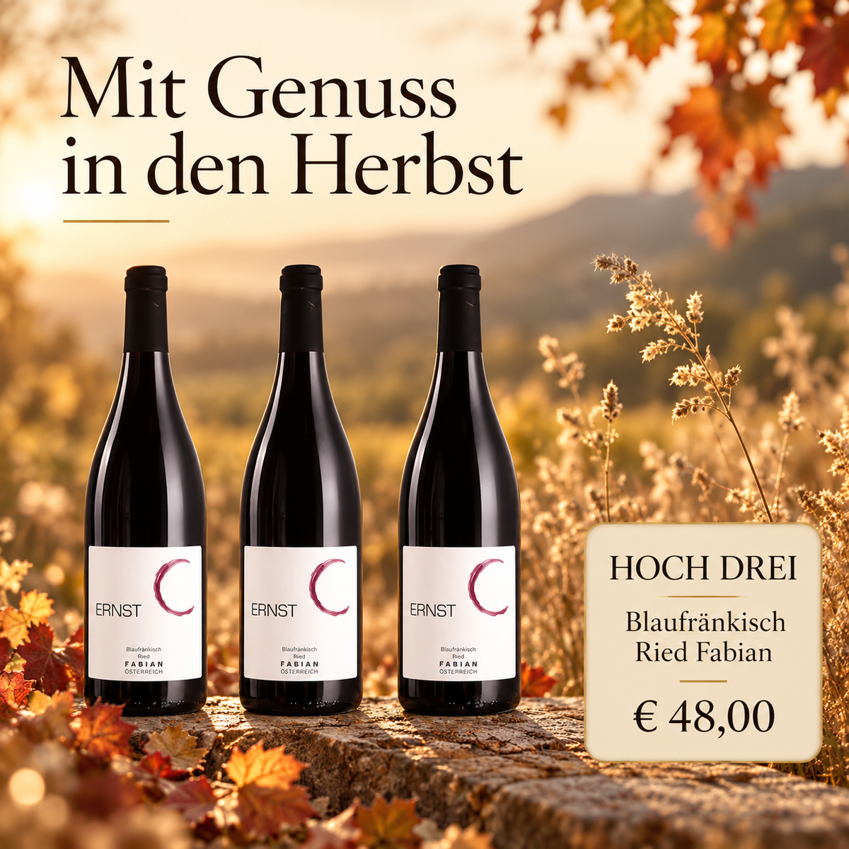 HOCH DREI Blaufränkisch Fabian