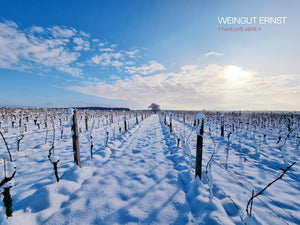 Schnee im Weingarten - eine Seltenheit geworden