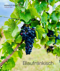 Ö1 Siegerwein 2023 Blaufränkisch Deutschkreutz 2021