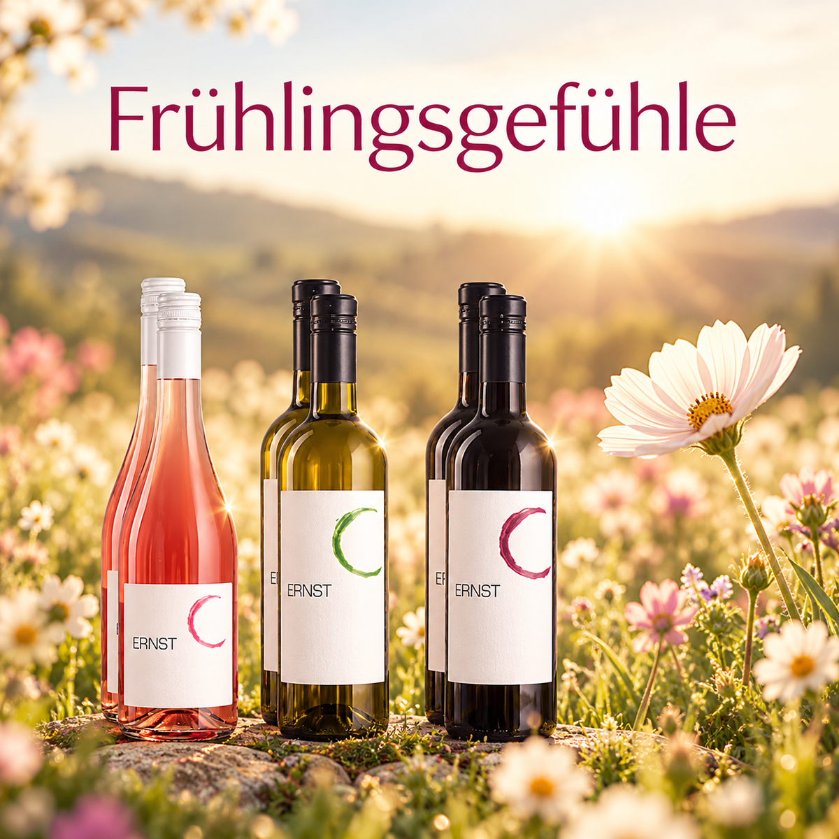 Weinset - Frühlingsgefühle