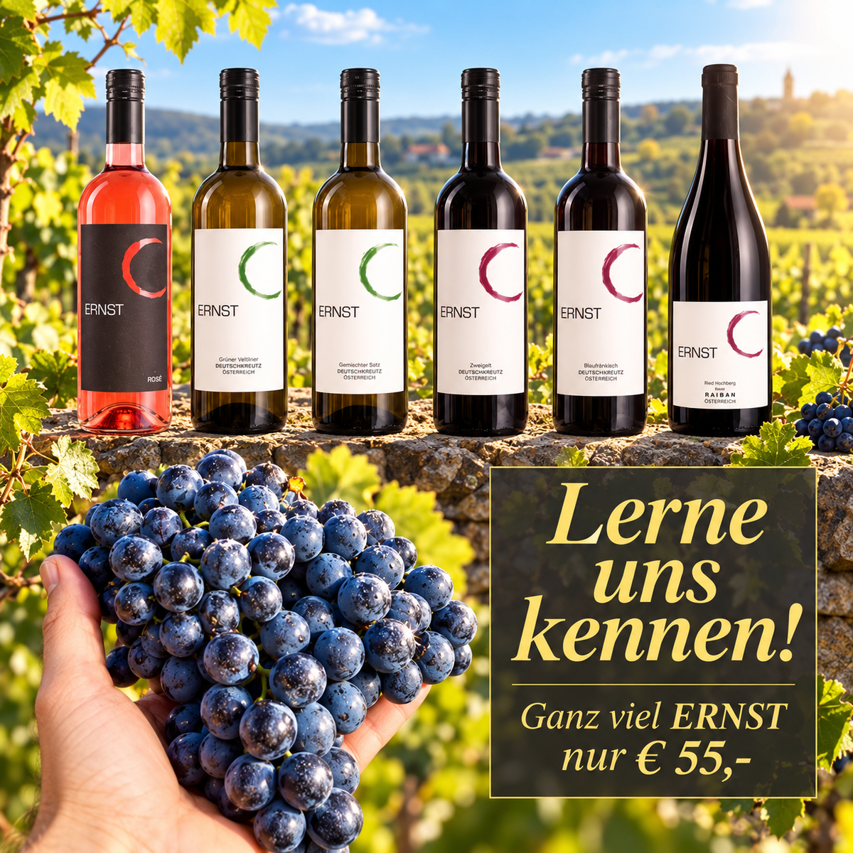 Lerne uns Kennen