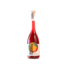 Chinotto Bitter Aperitivo (0.5l) by Tristan Hanzl, Super Cattivo